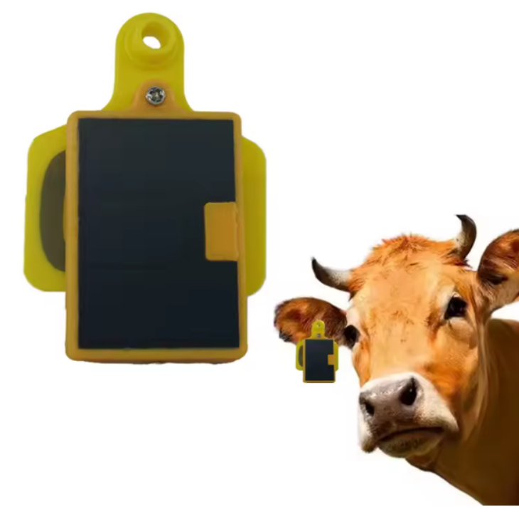 เครื่องติดตาม GPS แบบติดหูโค ย - Livestock Ear Tag Gps Tracker บทวิจารณ์และราคา