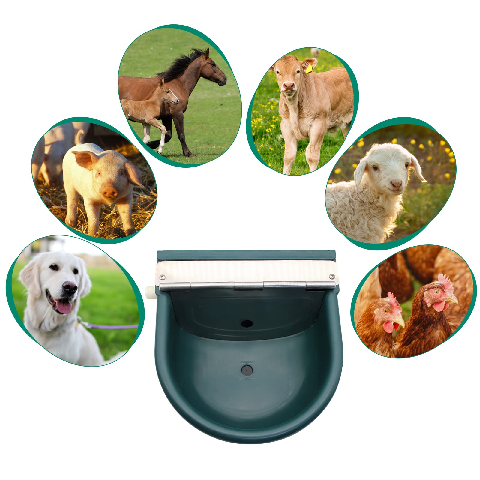 ชามน้ำอัตโนมัติสำหรับปศุสัตว์  - Livestock Water Trough Float Valve บทวิจารณ์และราคา